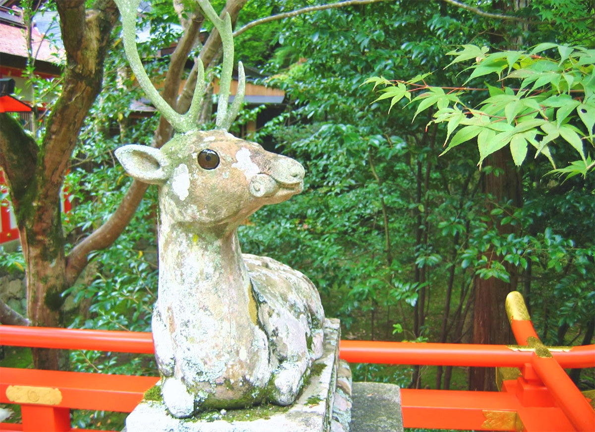 狛犬ならぬ「狛鹿」がいる神社– 奈良藤枝珈琲焙煎所